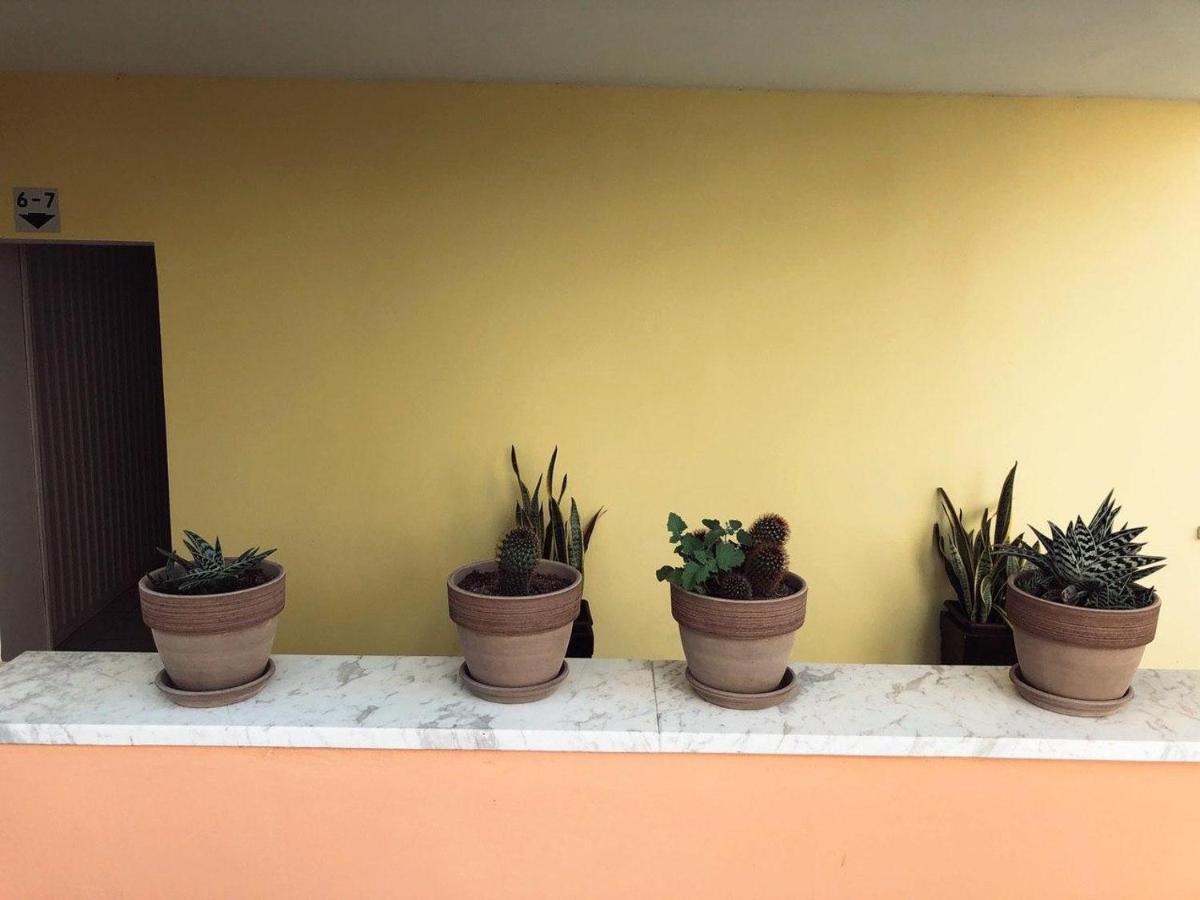 Katsikantaris Homes Appartement