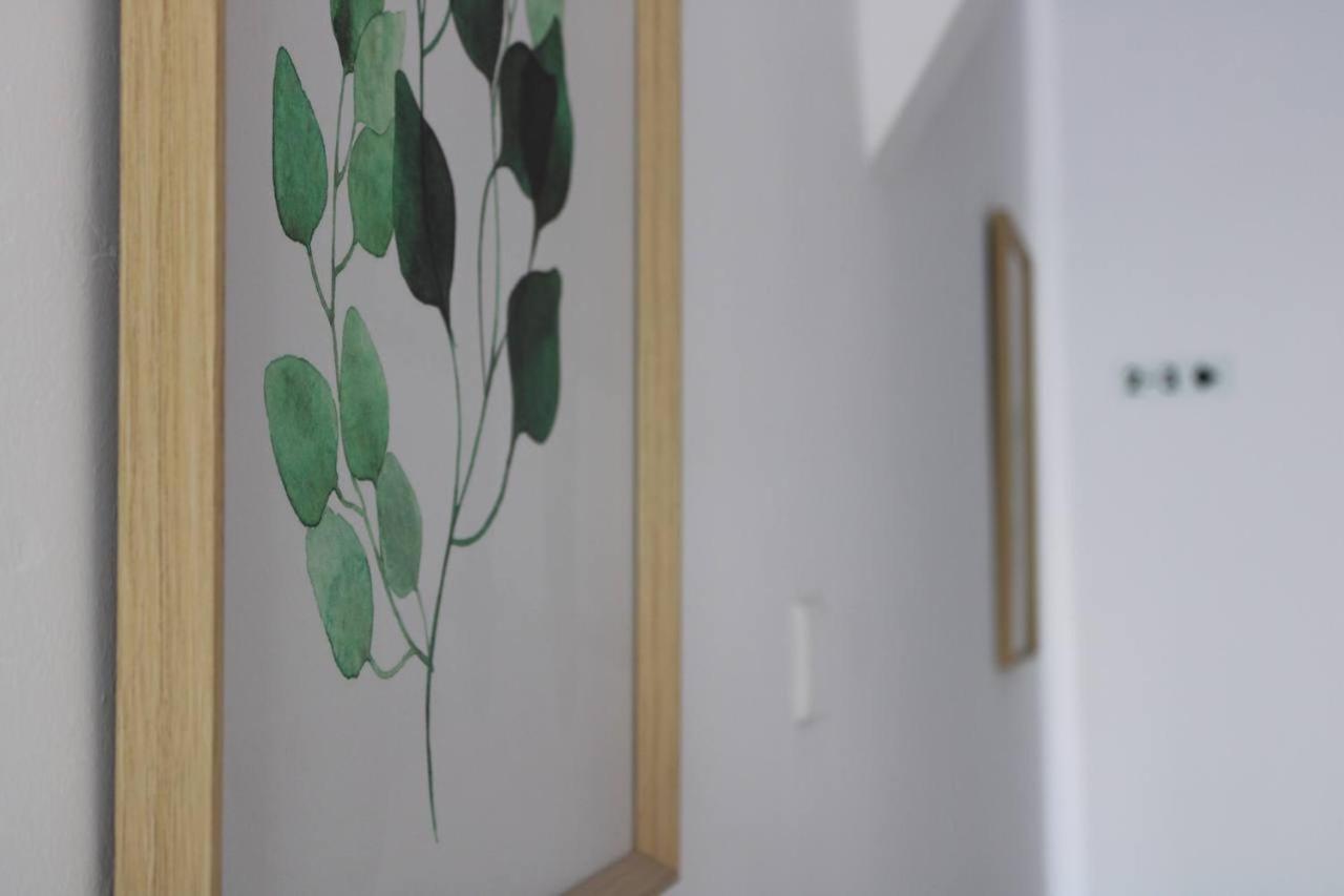 Apartment Katsikantaris Homes Paphos